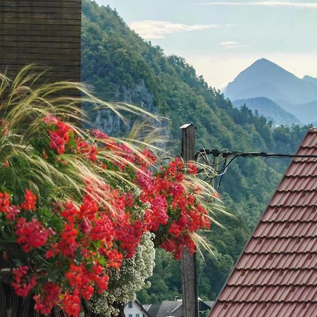 Apartma Bela Bohinjska Bela Exteriér fotografie
